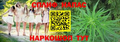 трава Северобайкальск