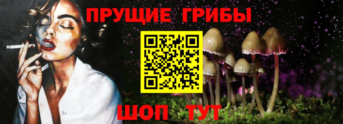 Псилоцибиновые грибы Magic Shrooms  Галлюциногенные грибы GOLDEN TEACHER  Сокол  Вход с VPN 