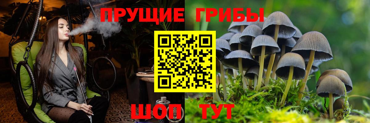 Галлюциногенные грибы Cubensis Сокол
